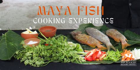 maya maya fish|Mastering Maya Maya: A Comprehensive Guide to Cooking This .